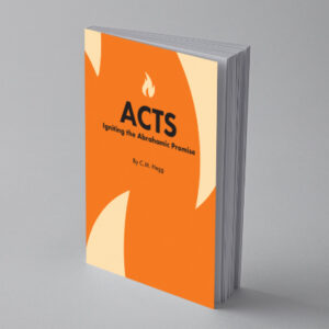 Acts: Igniting The Abrahamic Promise - Image 3