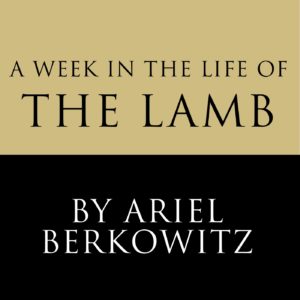 Week in the Life of the Lamb