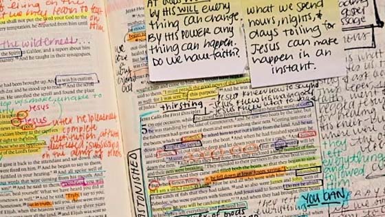 how-to-study-the-bible