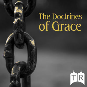 library-art-doctrines-of-grace