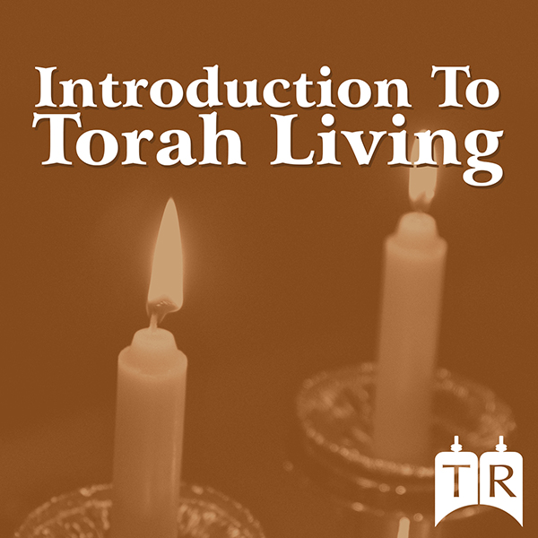 Torah Living