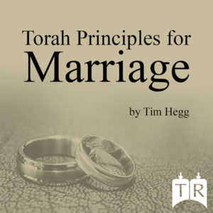 library-art-marriage-torah-principles