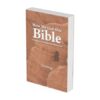 How We Got Our Bible - Book