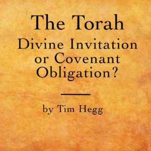 the-torah-divine-invitation